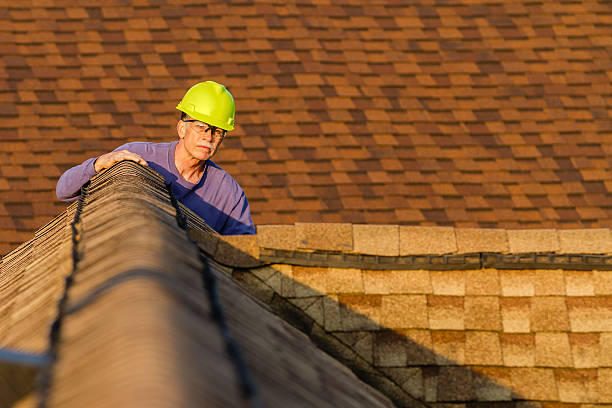Roof Gutter Cleaning in Peppermill Village, MD